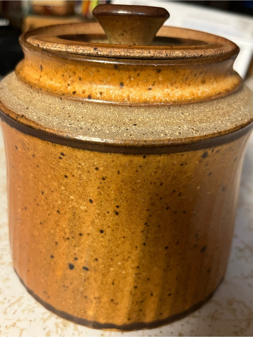 Rust Speckled Ceramic Canister with Lid - Home Accents